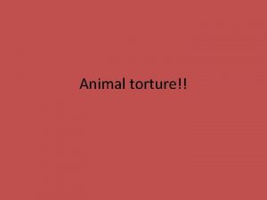 Animal torture Types of animal torture Who knew