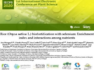 Rice Oryza sativa L biofortification with selenium Enrichment