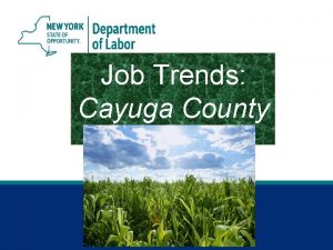 Job Trends Cayuga County Cayuga County Jobs Gained