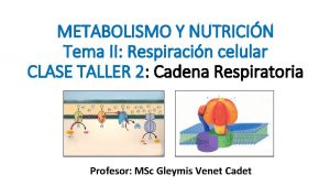 METABOLISMO Y NUTRICIN Tema II Respiracin celular CLASE