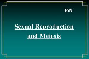 16 N Sexual Reproduction and Meiosis Sexual Reproduction