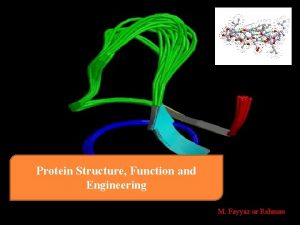 Protein Structure Function and Engineering M Fayyaz ur