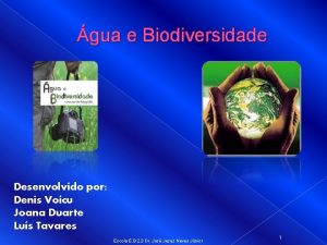 gua e Biodiversidade Desenvolvido por Denis Voicu Joana