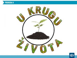 ivotni put ivotinja U krugu ivota Kako bi