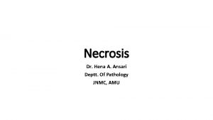 Necrosis Dr Hena A Ansari Deptt Of Pathology