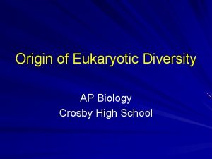 Origin of Eukaryotic Diversity AP Biology Crosby High