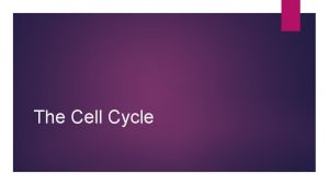 The Cell Cycle The Cell Cycle a cycle