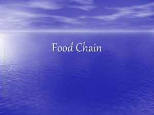 Food Chain What is a Food Chain A