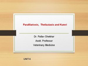 Parafilariosis Theilaziasis and Kumri Dr Pallav Shekhar Asstt