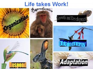 Life takes Work How do we make ATPs