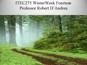 ITEC 275 Winter Week Fourteen Professor Robert DAndrea