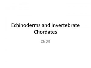 Echinoderms and Invertebrate Chordates Ch 29 Echinodermata Endoskeleton