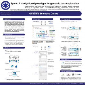 Spark A navigational paradigm for genomic data exploration