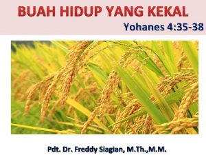 BUAH HIDUP YANG KEKAL THEMA Yohanes 4 35