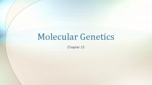 Molecular Genetics Chapter 15 Review of Mendelian Genetics