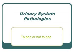 Urinary System Pathologies To pee or not to