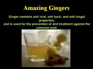 Amazing Gingers Ginger contains anti viral anti toxic