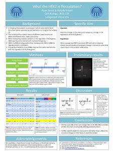 What the HEK 2 is flocculation Ryan Servis What the HEK 2 is flocculation Ryan Servis