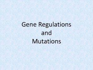 Gene Regulations and Mutations Gene Regulation Only a