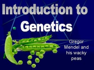 Gregor Mendel and his wacky peas What is