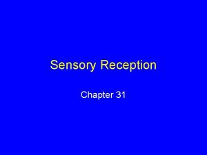 Sensory Reception Chapter 31 Sensation and Perception Sensation