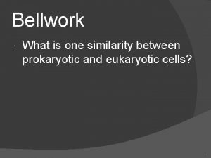 Similarity between prokaryotic and eukaryotic cells
