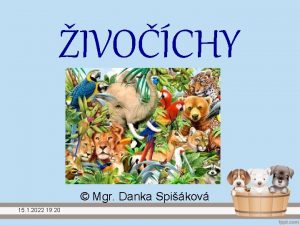 IVOCHY Mgr Danka Spikov 15 1 2022 19