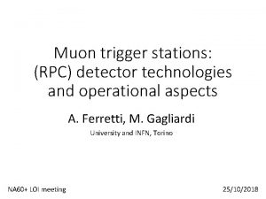 Muon trigger stations RPC detector technologies and operational