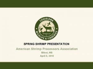 SPRING SHRIMP PRESENTATION American Shrimp Processors Association Biloxi