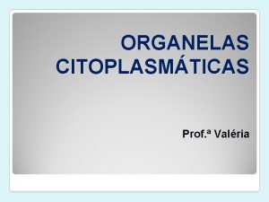 ORGANELAS CITOPLASMTICAS Prof Valria RIBOSSOMOS Funo sntese de