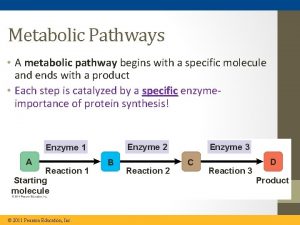 Metabolic Pathways A metabolic pathway begins with a