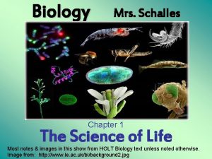 Biology Mrs Schalles Chapter 1 The Science of