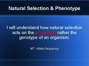 Natural Selection Phenotype I will understand how natural