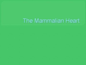 The Mammalian Heart Life in the ER https