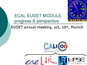 ECAL EUDET MODULE progress perspective EUDET annual meeting