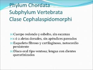 Phylum Chordata Subphylum Vertebrata Clase Cephalaspidomorphi Cuerpo redondo