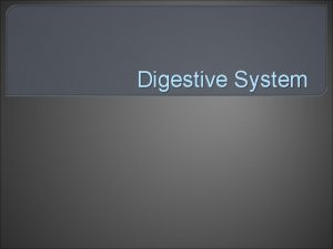 Digestive System The function of the digestive system