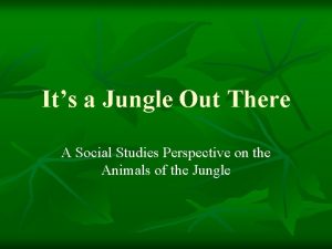 Its a Jungle Out There A Social Studies