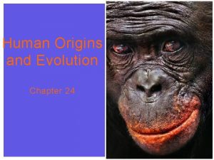 Human Origins and Evolution Chapter 24 PRIMATE FAMILY