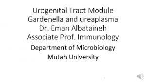 Urogenital Tract Module Gardenella and ureaplasma Dr Eman