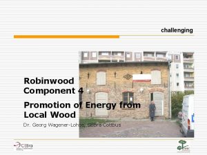 challenging Robinwood Component 4 Promotion of Energy from