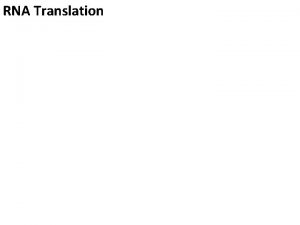 RNA Translation RNA Processing Introns are pulled out RNA Translation RNA Processing Introns are pulled out