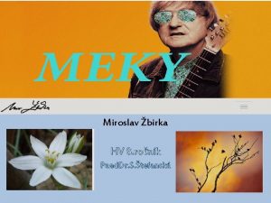 Miroslav birka HV 8 ronk Paed Dr S