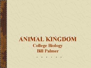 ANIMAL KINGDOM College Biology Bill Palmer Animal Kingdom