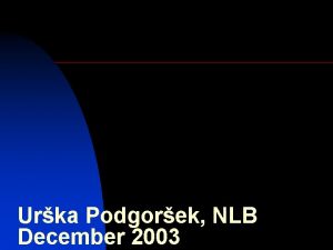 Urka Podgorek NLB December 2003 Vloga revizorja informacijskih
