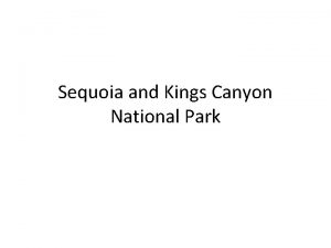 Sequoia and Kings Canyon National Park This September