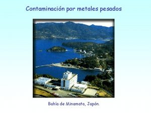 Contaminacin por metales pesados Baha de Minamata Japn