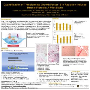 Quantification of Transforming Growth Factor in RadiationInduced Muscle