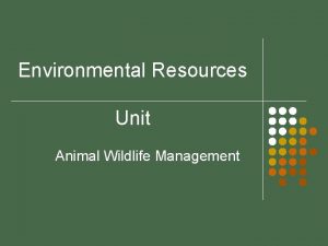 Environmental Resources Unit Animal Wildlife Management Problem Area