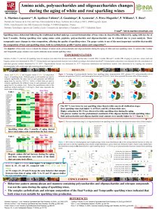 Amino acids polysaccharides and oligosaccharides changes during the